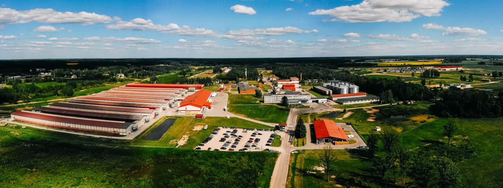 Balticovo ražotnes foto no putna lidojuma