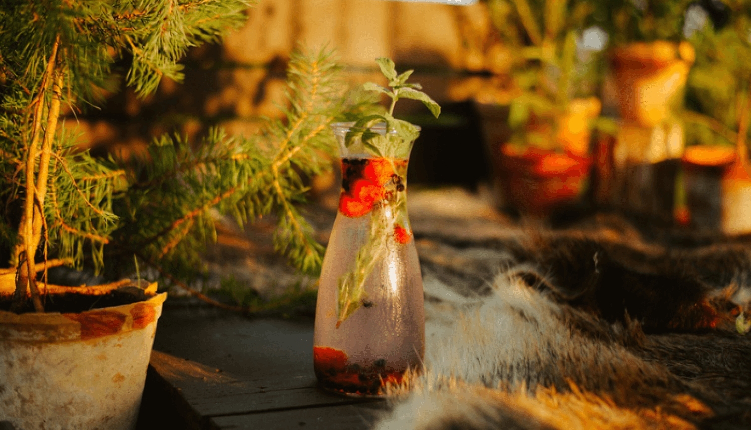 Mājas kafejnīcu dienu foto