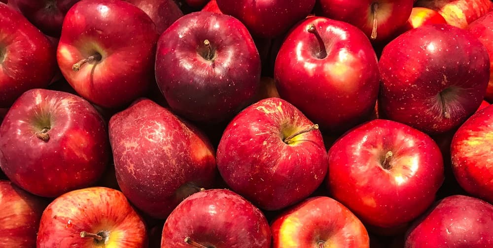 Foto: Pexels.com Latvijas ražotāji aicināti pieteikties pārtikas piegādēm ANO miera uzturēšanas operācijās