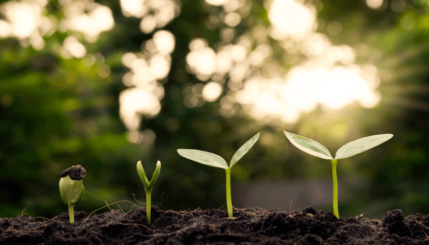 Ilustratīvs attēls