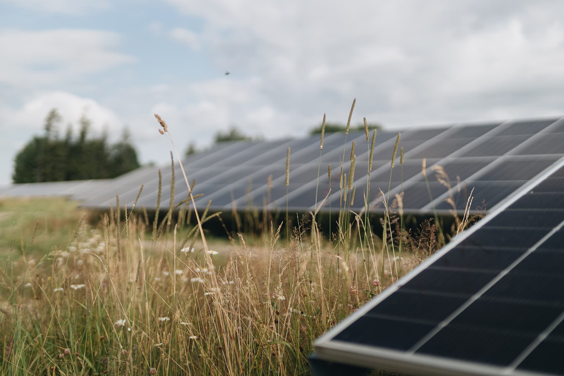 “Ignitis Renewables": Zaļās enerģijas vilnis Latvijā – investīcijas, kas veido nākotni 