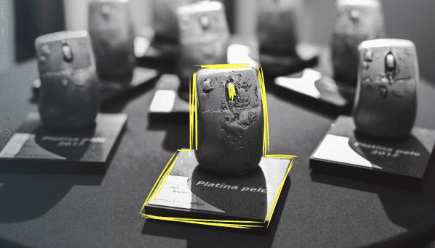 Latvijas IKT balva "Platīna pele"