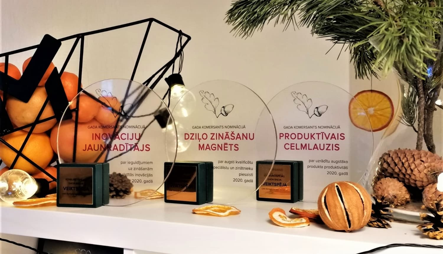 Gada balvas “VEIKTSPĒJA” trofeju foto