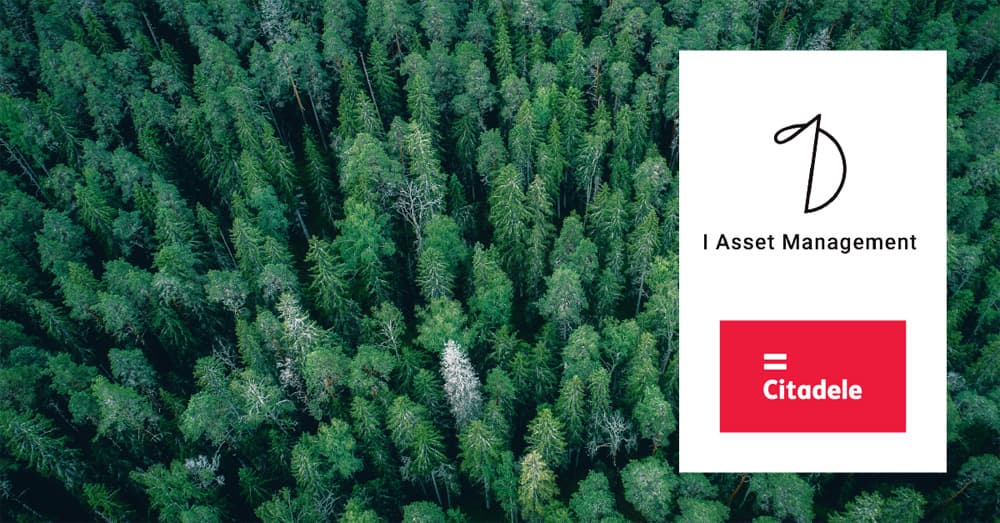 Baltic Green Fund vizualizācija