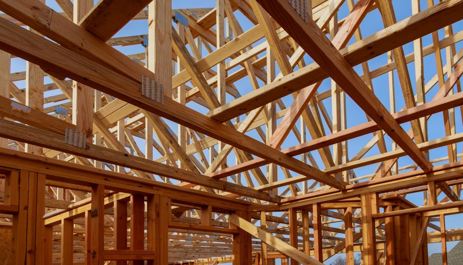 Koka konstrukciju foto