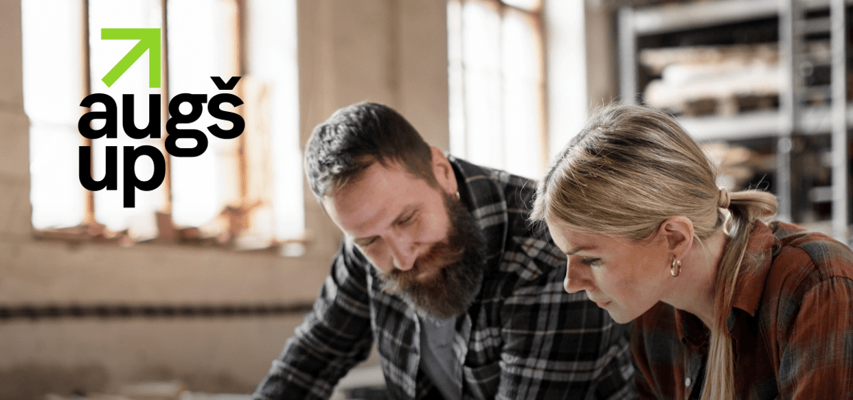 SEB programmas vizualizācija