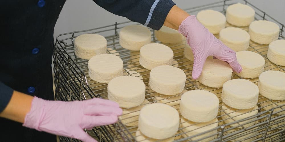 Attēls: Pexels.com Jaunas prasības pārtikas eksportētājiem uz Alžīriju