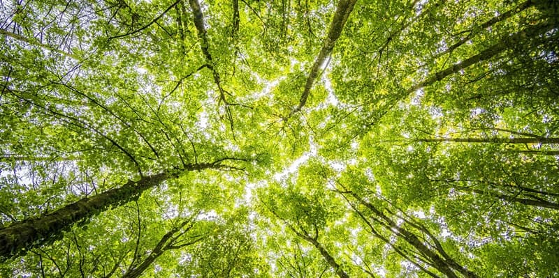 Vācijas Vides fonda stipendiju fonds Latvijas augstskolu absolventiem piedāvā tālākizglītības iespējas Vācijas Vides fonda stipendiju fonds Latvijas augstskolu absolventiem piedāvā tālākizglītības iespējas