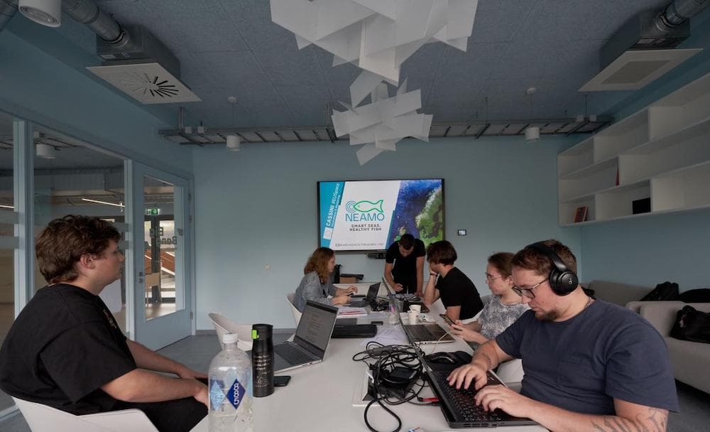 “Neamo” “Neamo”