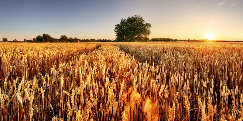 LAD: no 15. aprīļa iespējams pieteikties platību maksājumiem LAD: no 15. aprīļa iespējams pieteikties platību maksājumiem