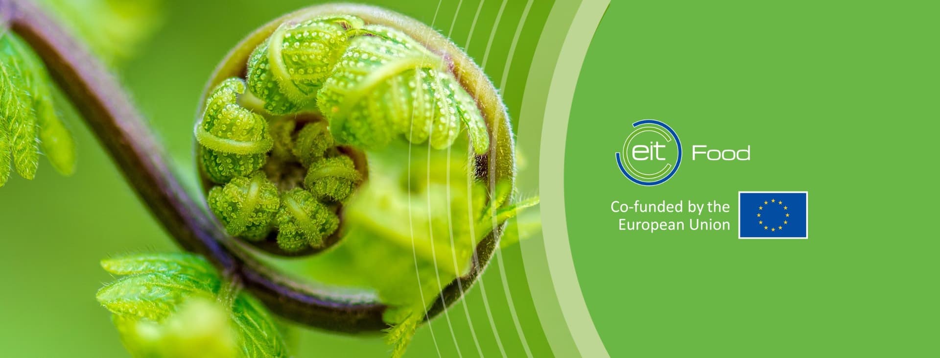 EIT Food EIT Food