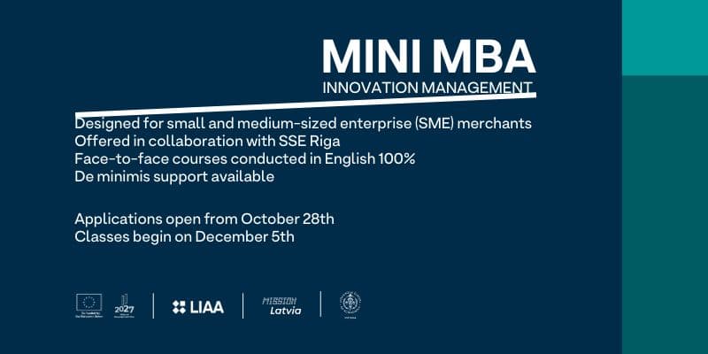Mini MBA Mini MBA